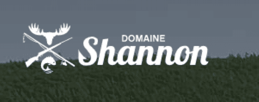 Shannon logo